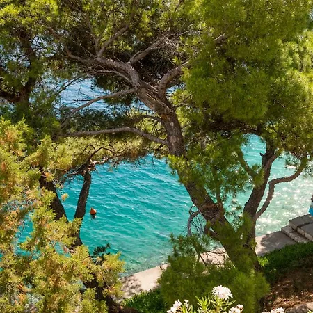 Appartement Turisticko Naselje Punta Povlja (Brac)