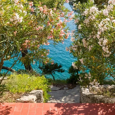 Apartment Turisticko Naselje Punta Povlja (Brac)